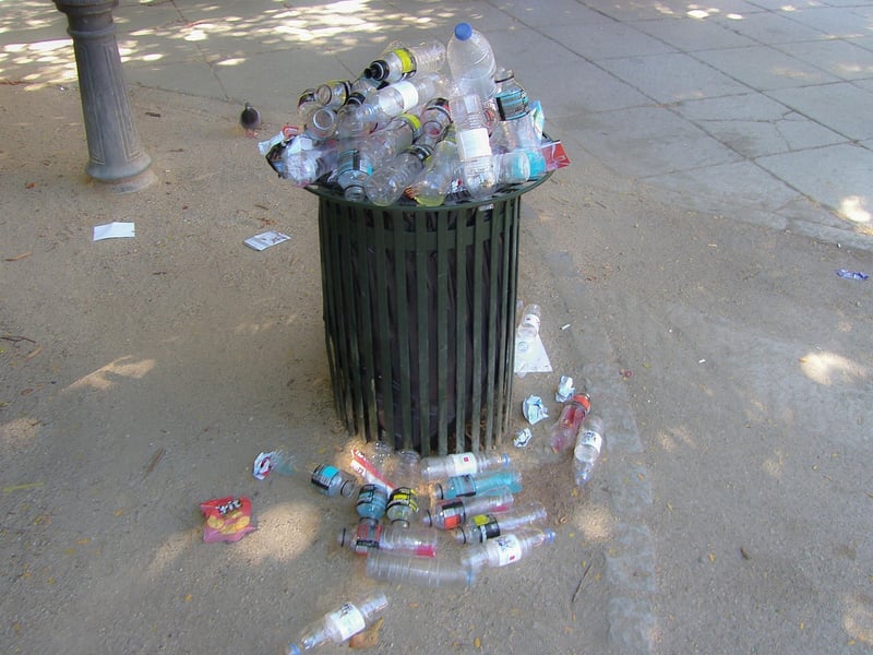 Recycled Paper Art